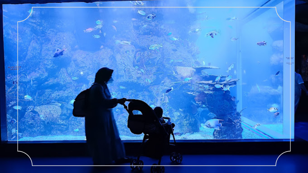 12 Tempat Indah di Jakarta: Menikmati Pesona Ibu Kota Indonesia 9 Jakarta AQuarium Safari