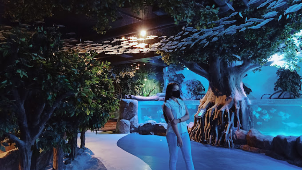 Jakarta Aquarium & Safari