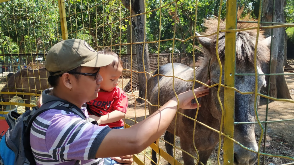 Kebun Binatang Mangkang Semarang: Petualangan Seru di Taman Satwa Terkenal 9 Jam Operasional