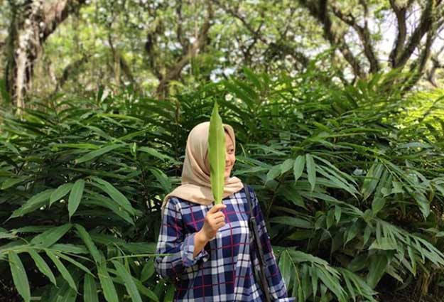 39 Tempat Wisata di Banyuwangi Terbaru 19 Tempat wisata keluarga di Banyuwangi