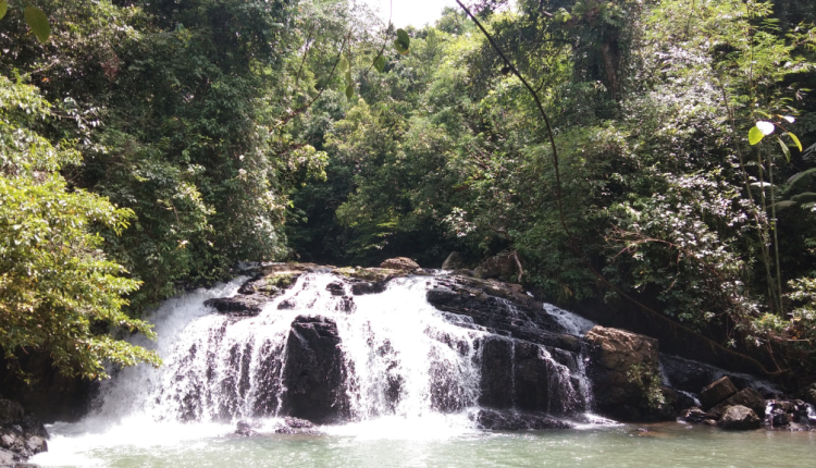 Jelajahi Curug di Bogor untuk Kamu yang Pencinta Alam
