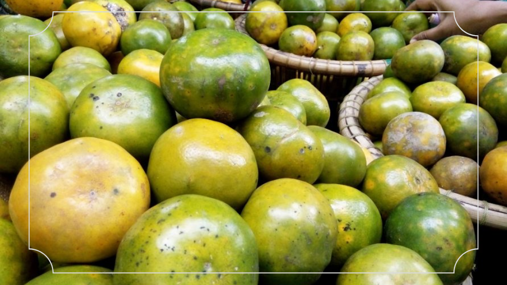 13 Oleh Oleh Khas Pontianak: Keistimewaan Kuliner dan Cendera Mata 4 Jeruk Pontianak