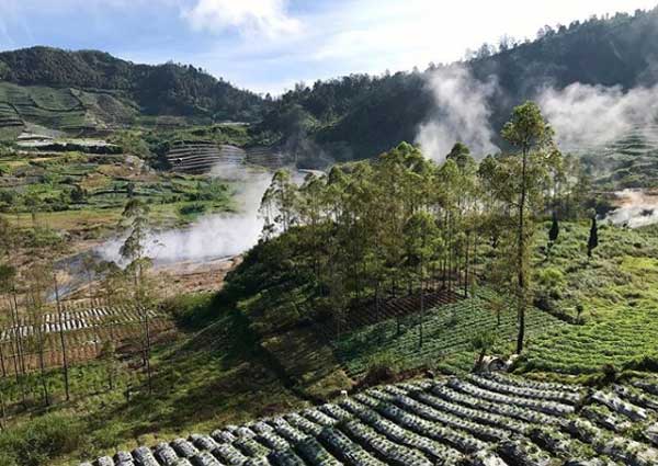 tempat wisata baru di dieng