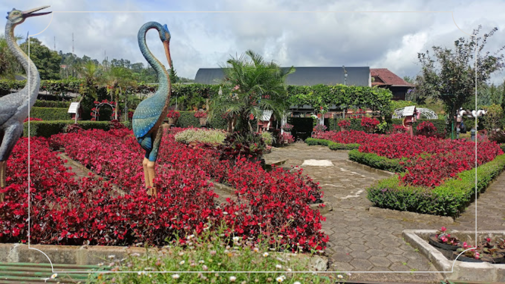 Tempat Wisata Cikole Lembang: Pesona Alam dan Aktivitas Seru untuk Liburan Kamu 5 Kebun Begonia