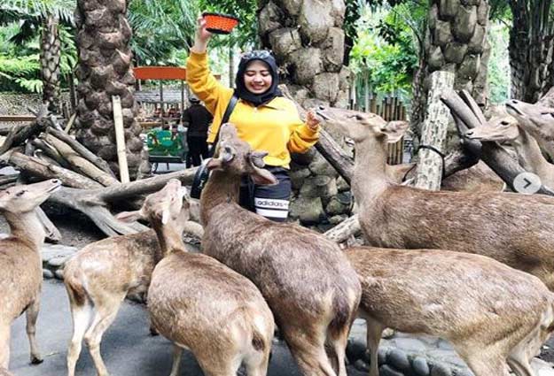 tempat menarik di Gianyar