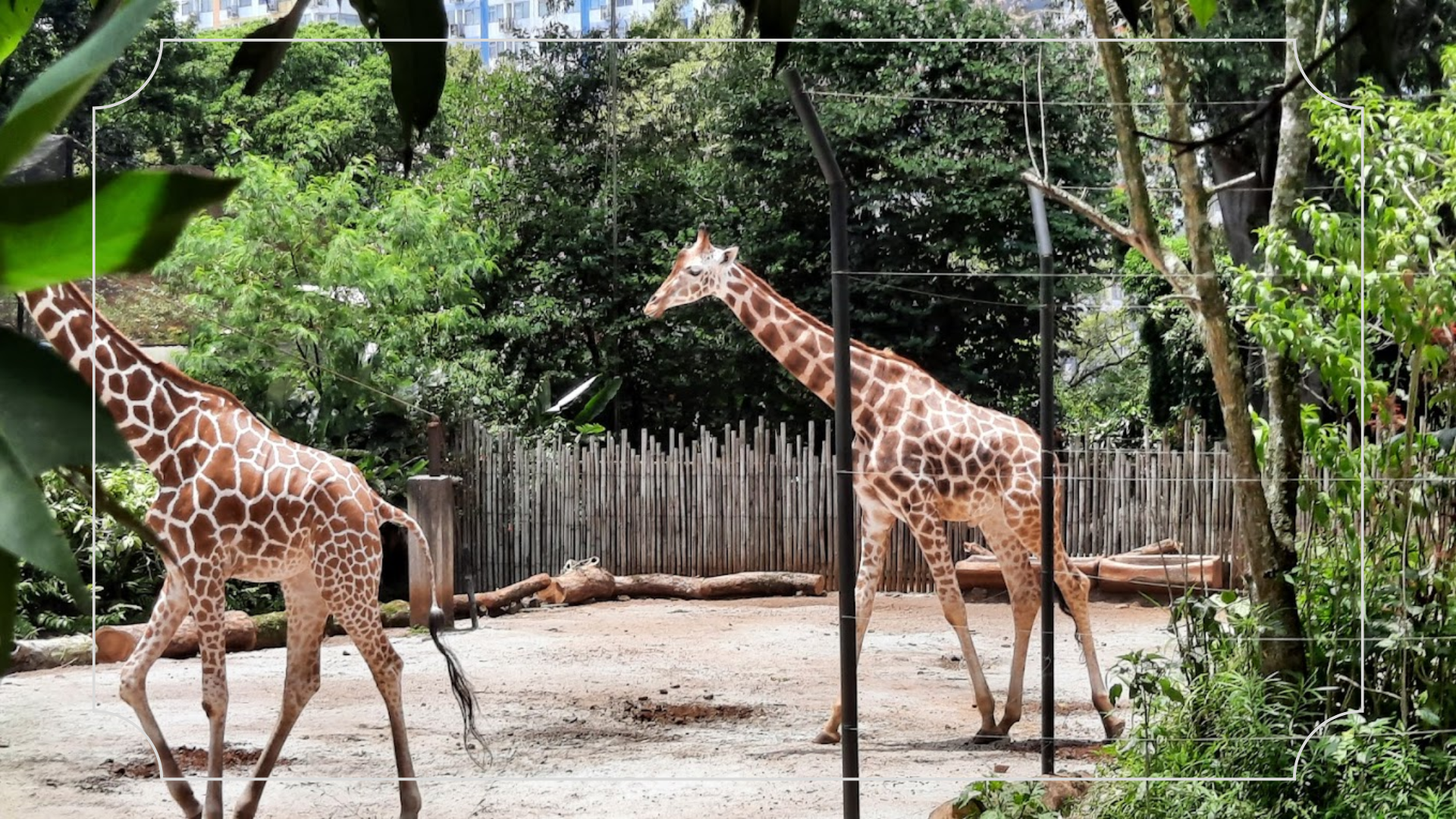 Kebun Binatang Bandung