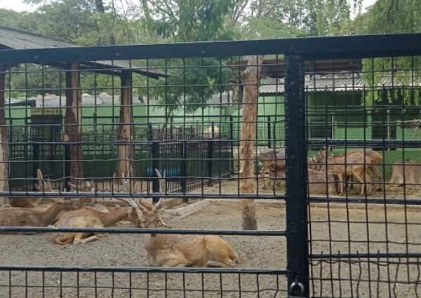 wisata alam di surabaya