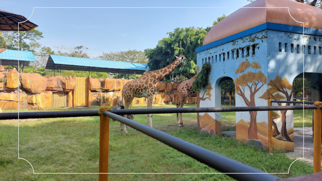 Kebun Binatang Surabaya