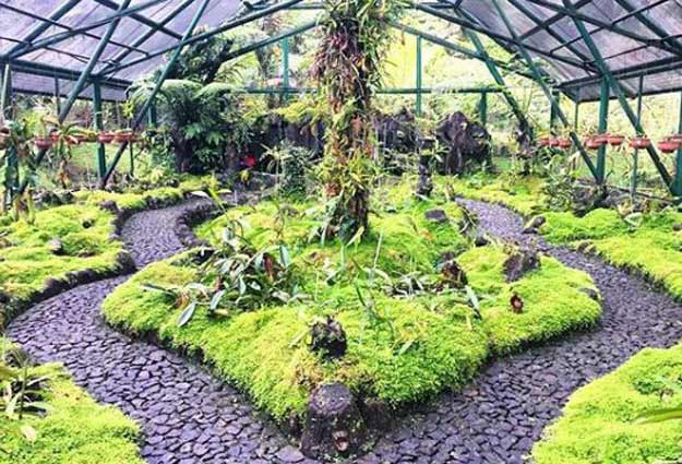 21 Tempat wisata di Cianjur Terbaru 22 tempat wisata di Cianjur