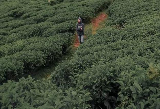 tempat wisata di Tasikmalaya jawa barat