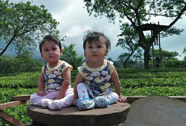 81 Tempat Wisata Seru Di Malang Terbaru 70 Kebun Teh Wonosari