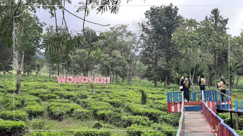 Kebun Teh Wonosari