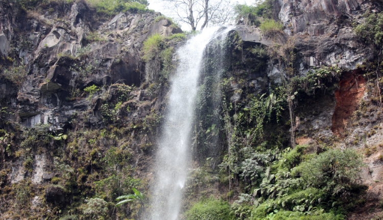Keindahan Air Terjun Coban Rondo Malang yang Wajib Kamu Datengi