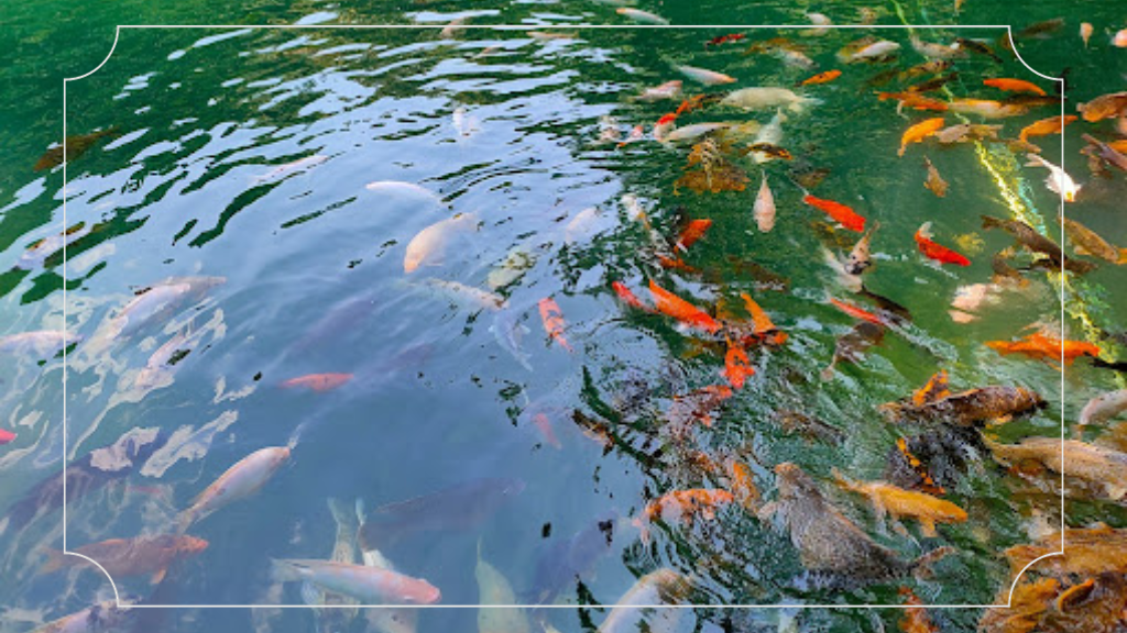 Telaga Biru Kuningan: Rahasia Indahnya Jawa Barat 11 Kesimpulan