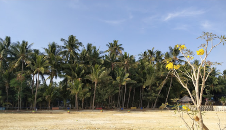 Keunikan Pantai Kelapa Tuban yang Memukau Hati Kamu