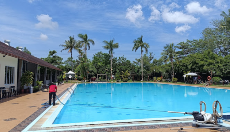 Kolam Renang Palm Spring