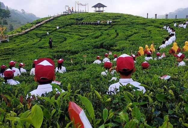 objek wisata di Jember Jawa Timur