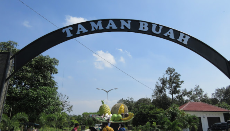 Kunjungi dan Nikmati Serunya Wisata di Taman Buah Lubuk Pakam