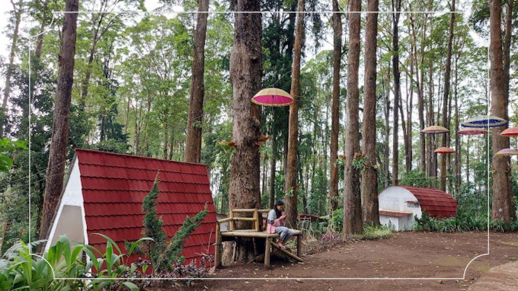 Pesona Air Terjun Pengantin Ngawi yang Menajubkan 9 Lawu Green Forest