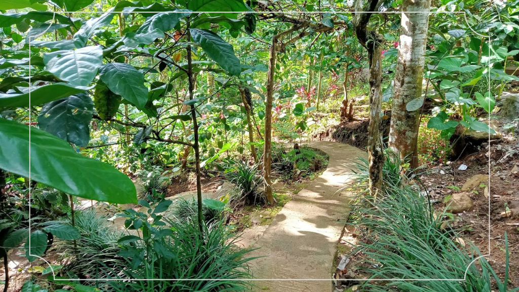 Lokasi Wana Wisata Sumber Biru