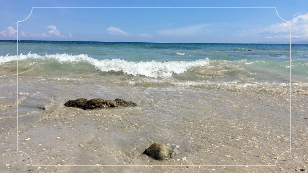 Lokasi dan Rute Pantai Kelapa Tuban