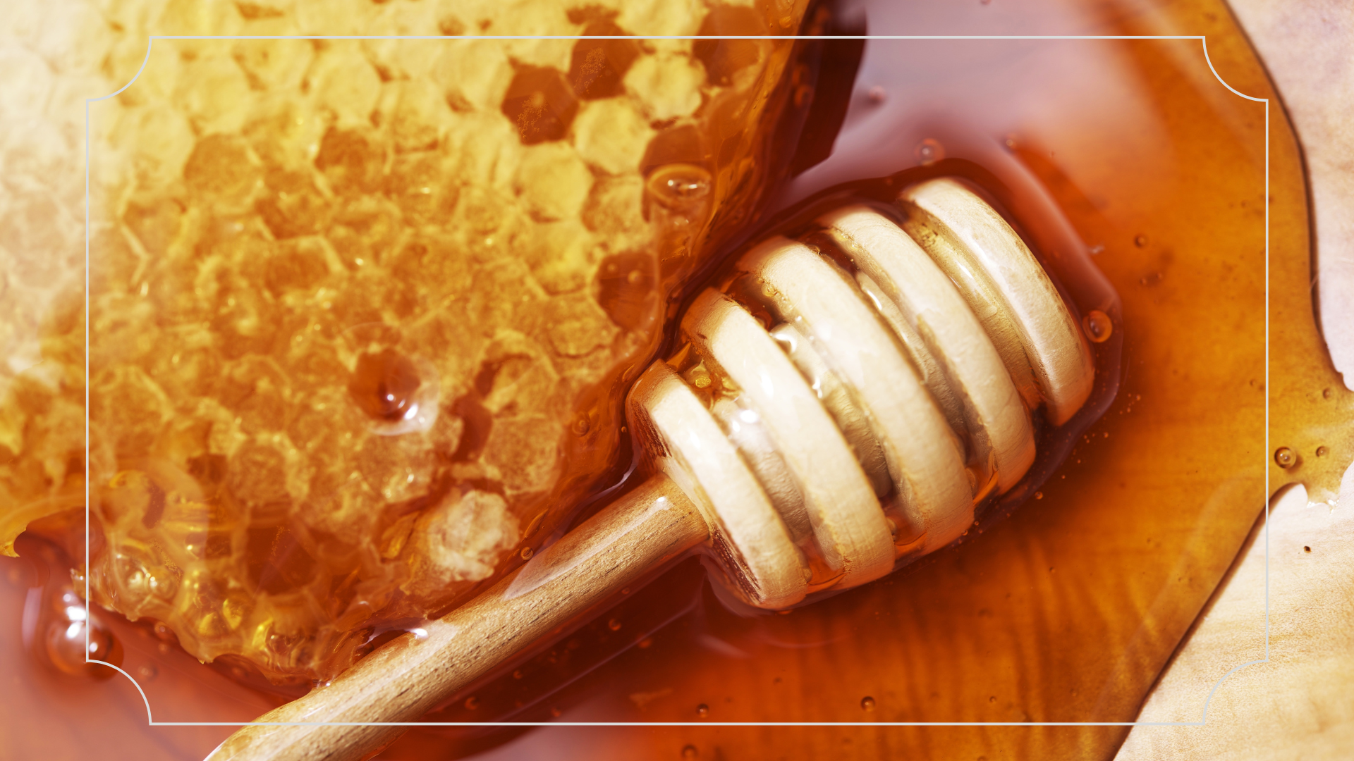 22 Oleh Oleh Khas Malang yang Wajib Dibeli 2 Madu Klanceng