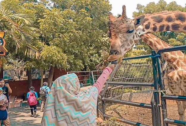 objek wisata di Lamongan