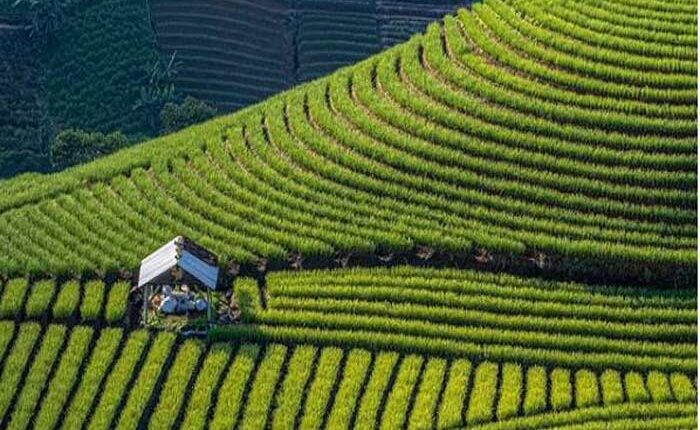 Tempat Wisata di Majalengka terbaru