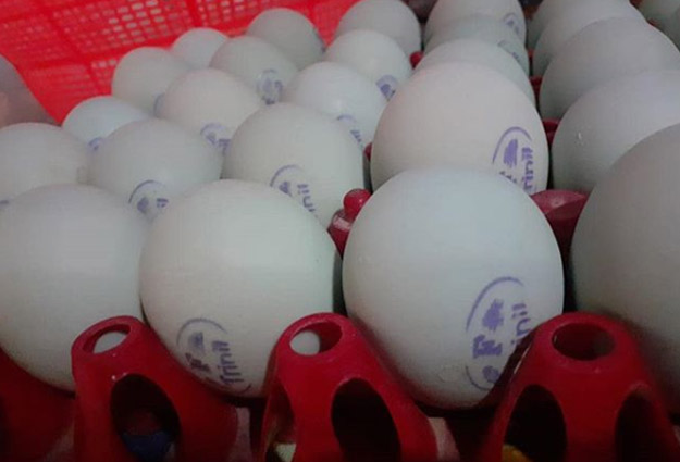 18 Tempat Wisata Di Ngawi Terbaru 21 18 Tempat Wisata Di Ngawi Terbaru 20