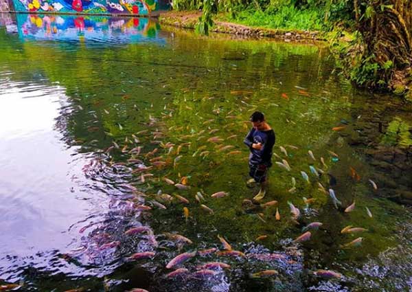 17 Tempat Wisata di Salatiga Terbaru 17 tempat wisata anak di salatiga