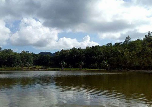 Memancing di telaga rowo