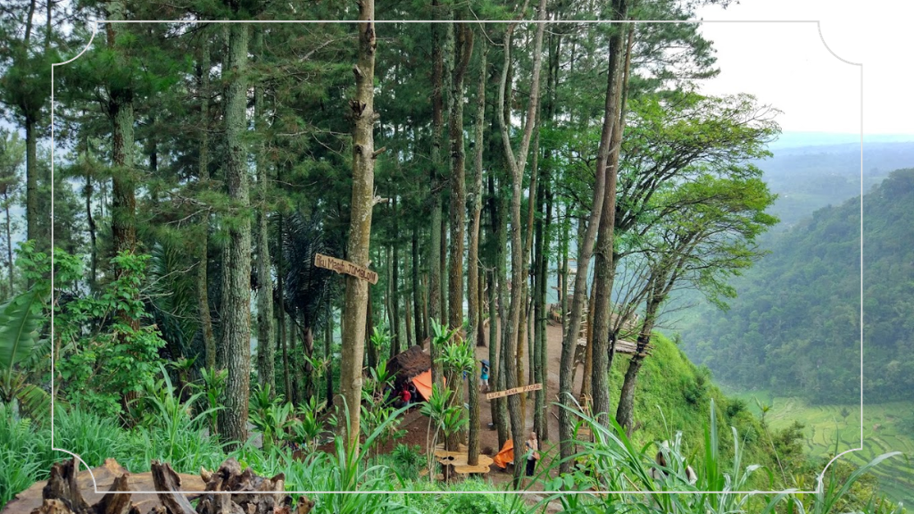 Menikmati Pemandangan