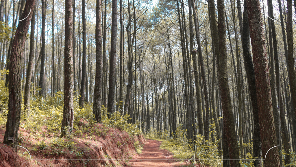 Menjelajah Berbagai Kawasan