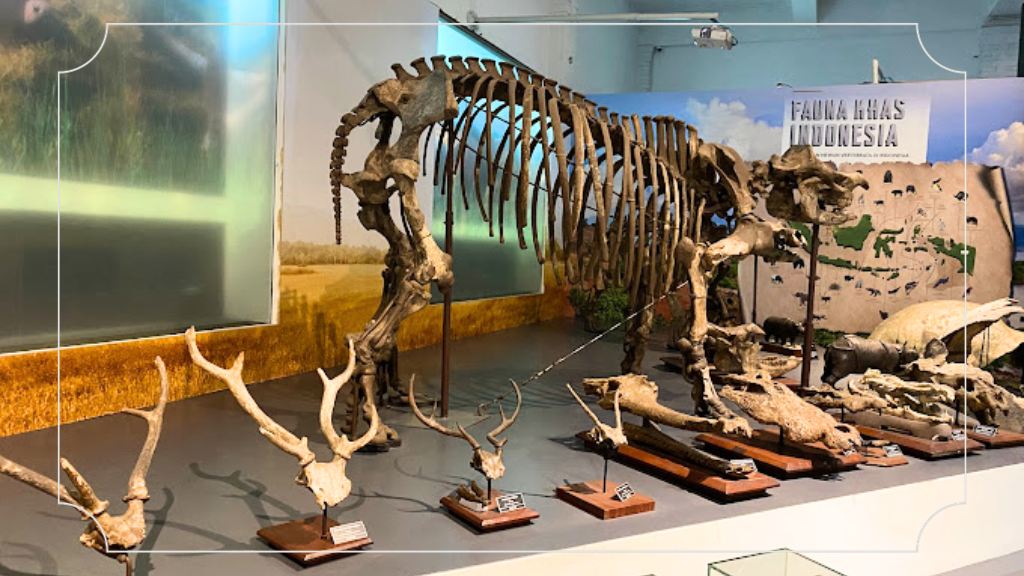 Museum Geologi Bandung