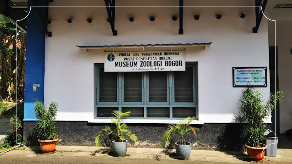 Museum Zoologi