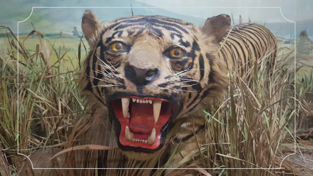 Museum Zoologi Bogor