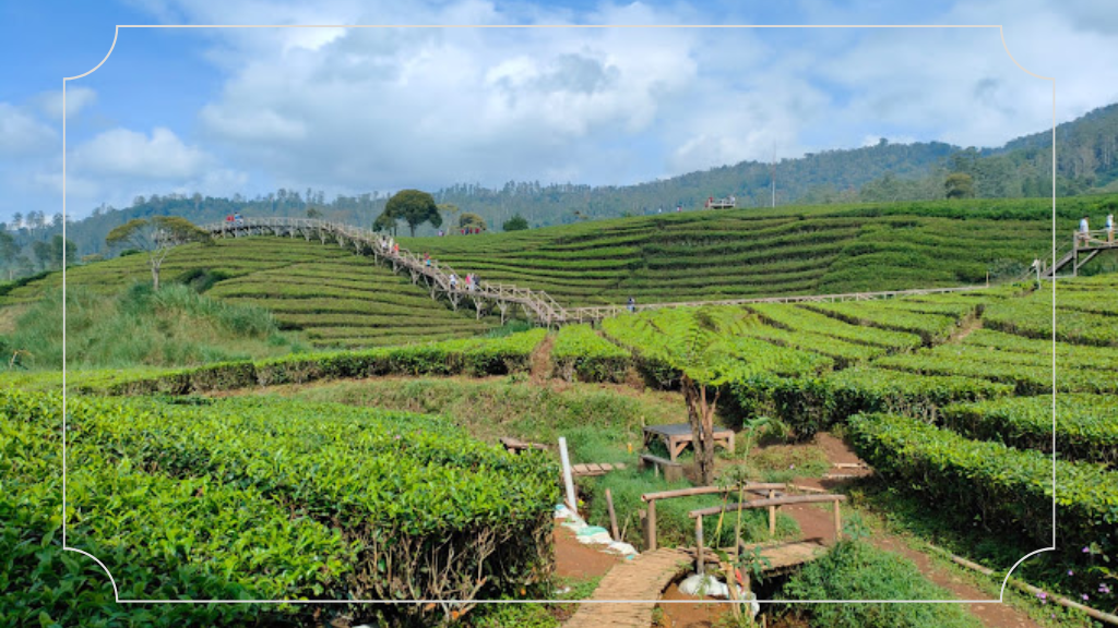 11 Wisata Pangalengan yang Lagi Hits Wajib Kamu Kunjungi 3 Nuansa Riung Gunung