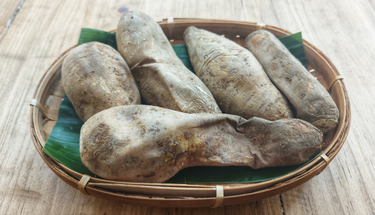 Oleh-Oleh Khas Bogor