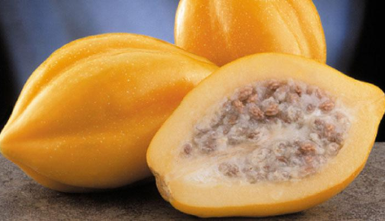 Oleh Oleh Khas Dieng yang Wajib Kamu Bawa Pulang