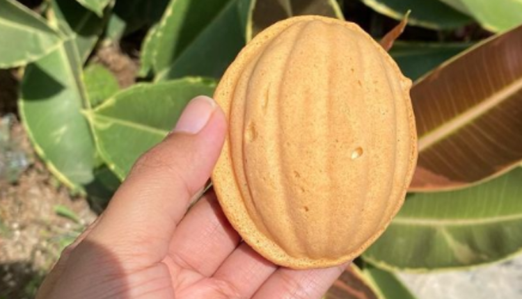 Oleh-Oleh Khas Jombang