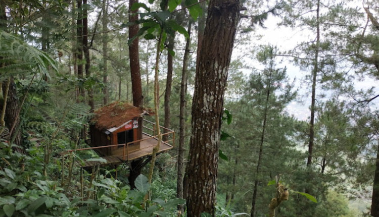 Omah Kayu Paralayang Batu