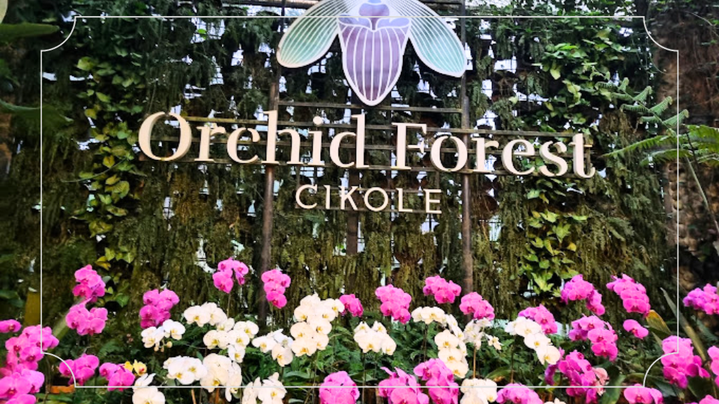 Orchid Forest Cikole