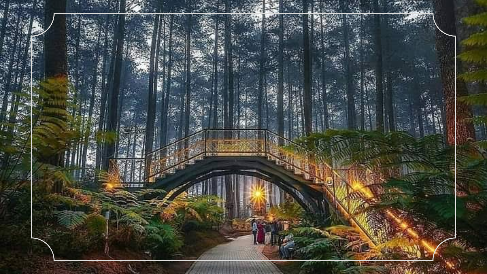 Orchid Forest Cikole