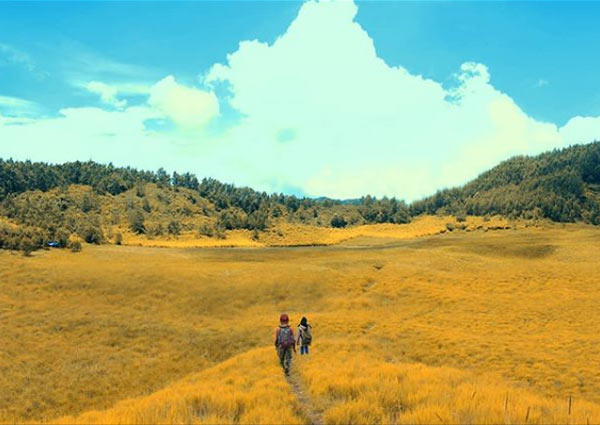 tempat wisata baru di dieng