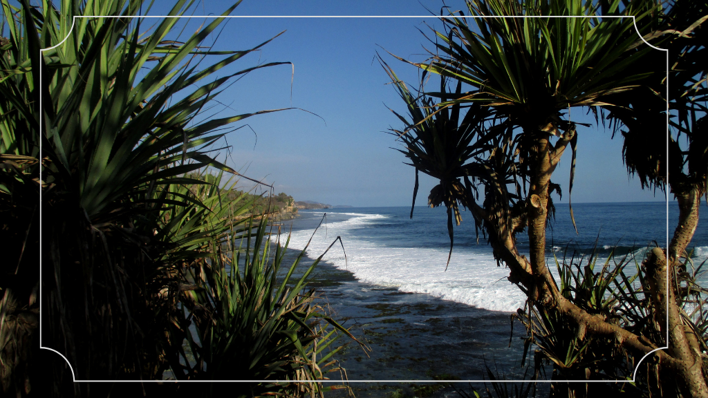 9 Wisata Malam Jogja 24 Jam: Pengalaman Seru di Kota Yogyakarta 8 Pantai Baron