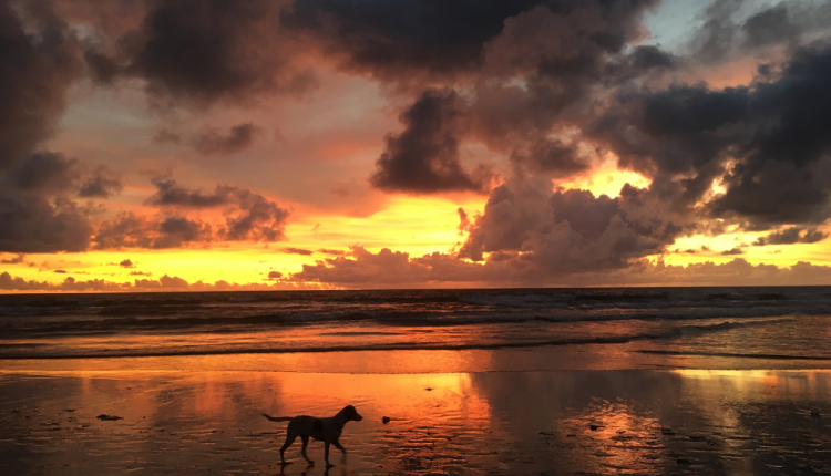 Pantai Double Six Seminyak