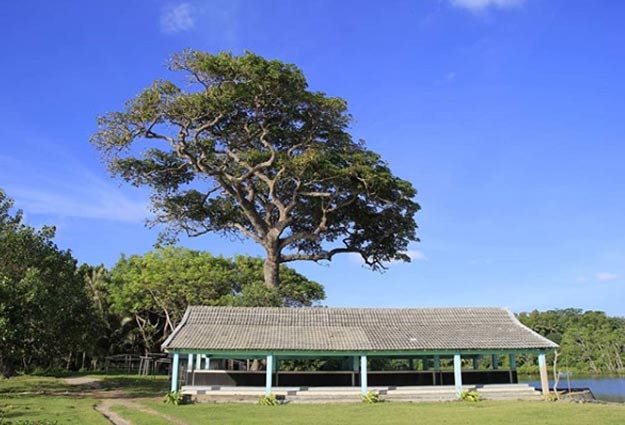 tempat wisata baru di Gresik