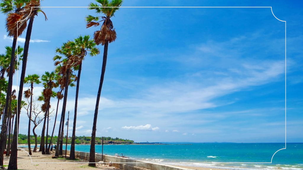 10 Tempat Wisata di NTT yang Membuat Kamu Terpesona 11 Pantai Lasiana