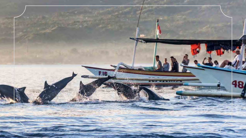 16 Tempat Wisata di Singaraja Bali yang Paling Populer untuk Liburan Luar Biasa 3 Pantai Lovina