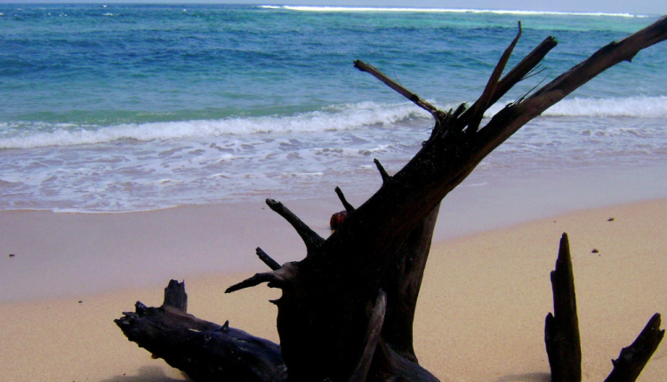 Pantai Malang Selatan